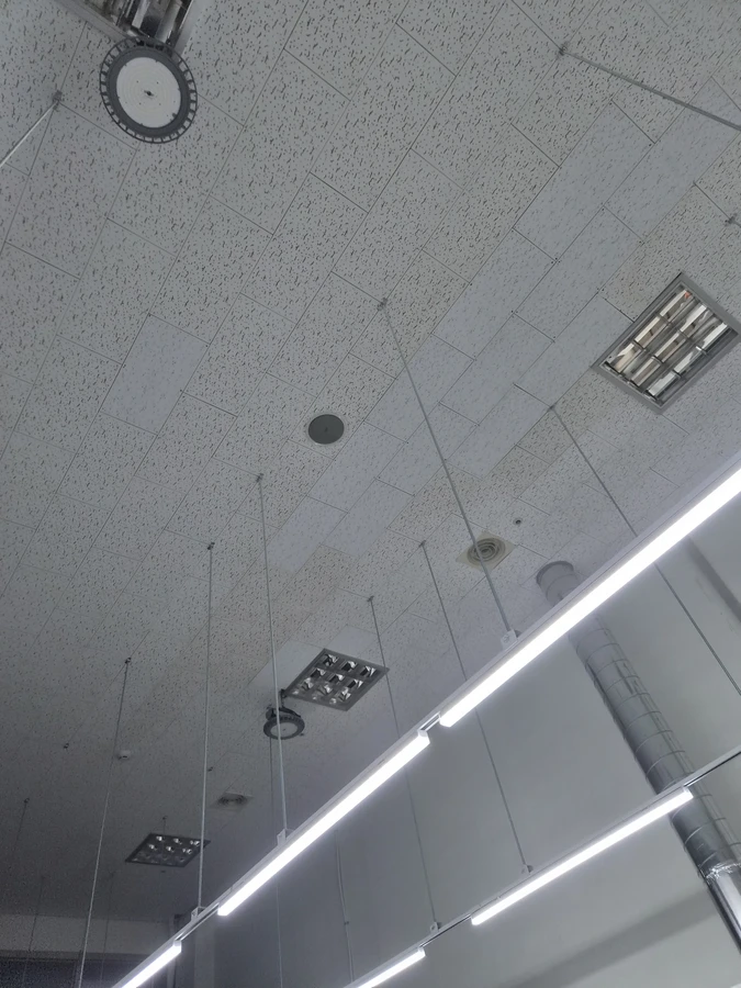 텍스
