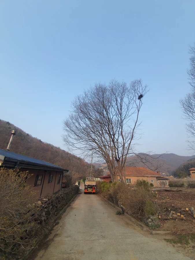 김포 현장 벌채 장비 투입