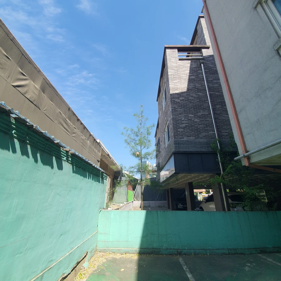 가지치기 전문업체