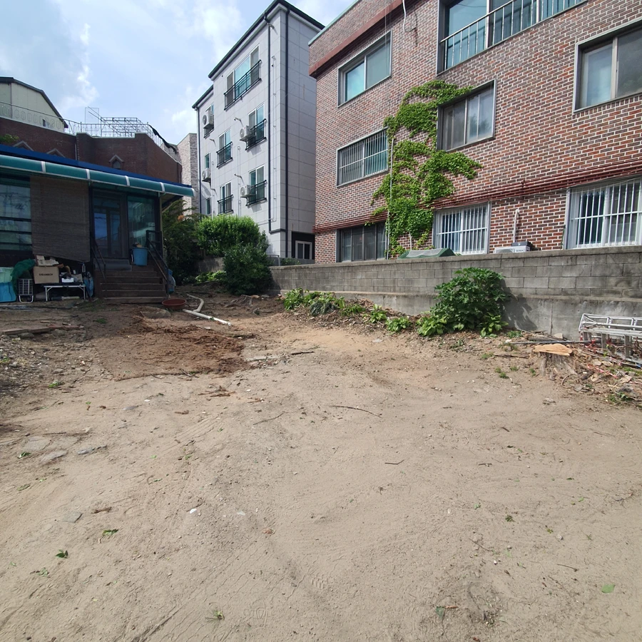 강남 나무가지치기 작업 후 단독주택 정원 소나무 전지