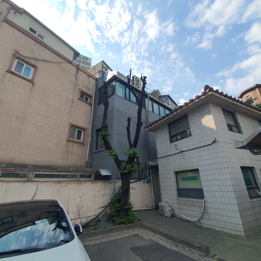 노원 나무가지치기 작업 후 복합 수종 일괄 정비