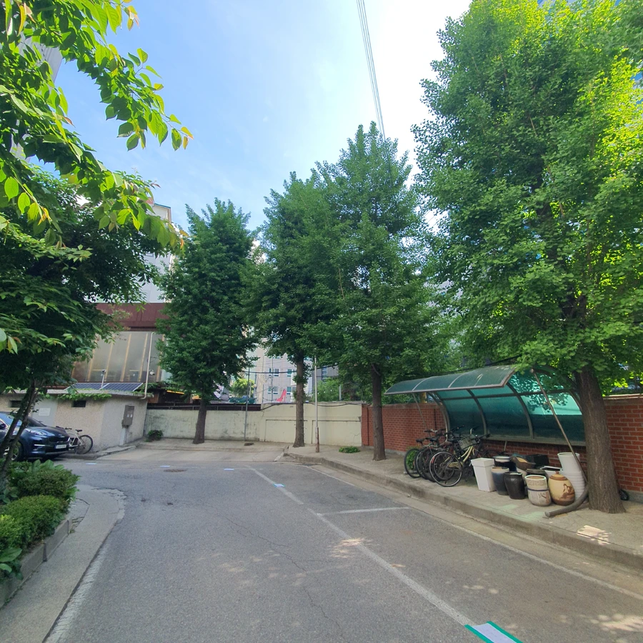 벌목 (위험목, 나무제거, 가지치기, 전정, 뿌리제거)