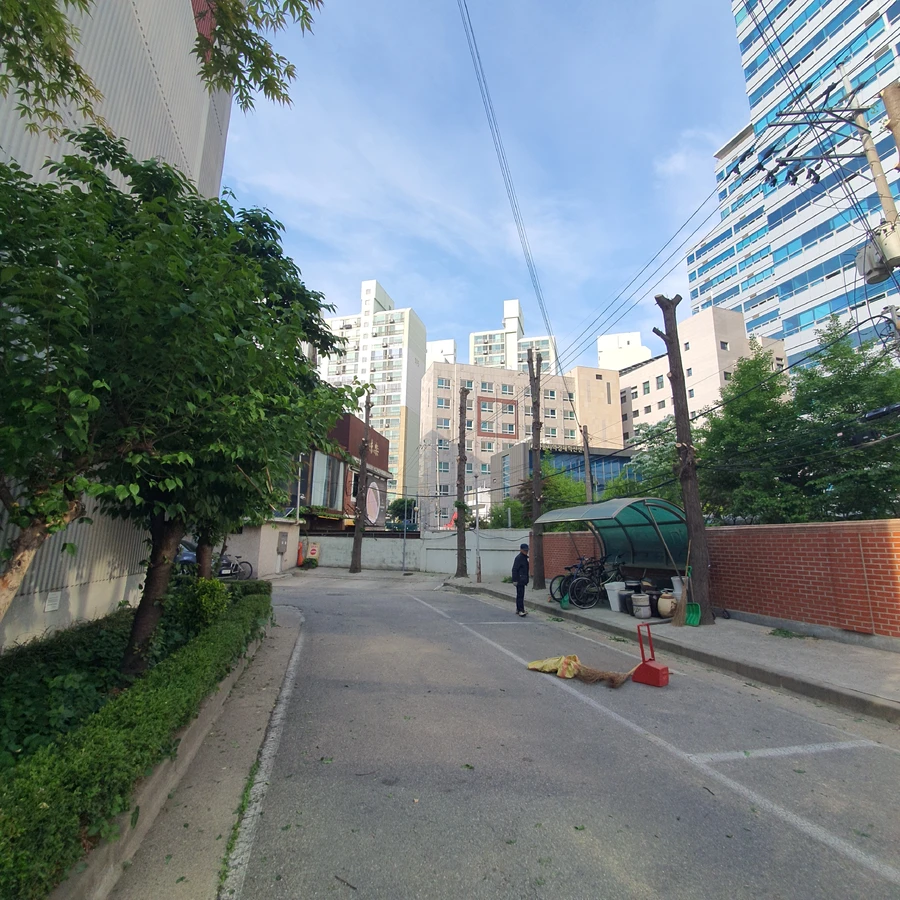 벌목 (위험목, 나무제거, 가지치기, 전정, 뿌리제거)