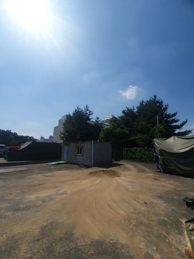 벌목 (위험목, 나무제거, 가지치기, 전정, 뿌리제거)
