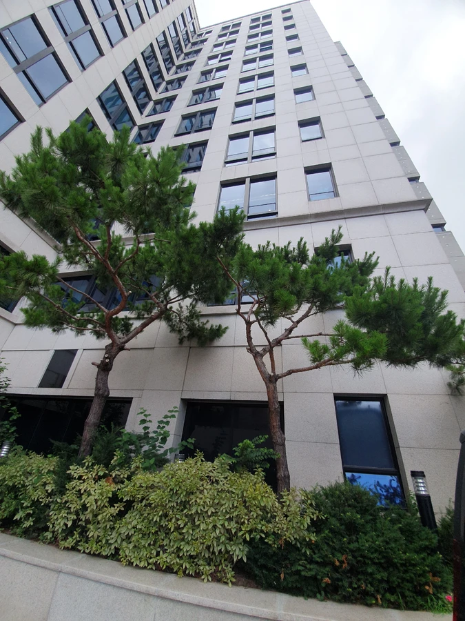 벌목 (위험목, 나무제거, 가지치기, 전정, 뿌리제거)