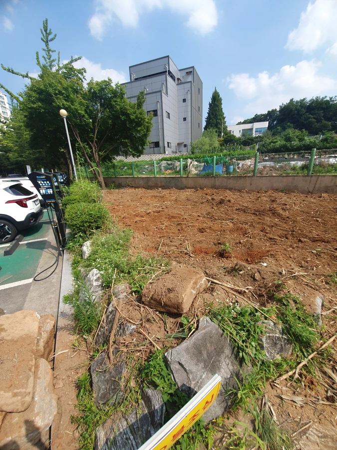 벌목 (위험목, 나무제거, 가지치기, 전정, 뿌리제거)