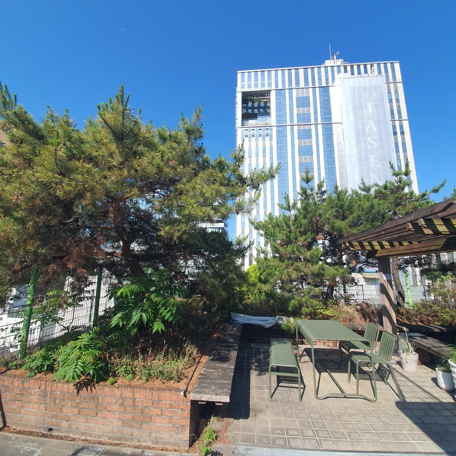 벌목 (위험목, 나무제거, 가지치기, 전정, 뿌리제거)