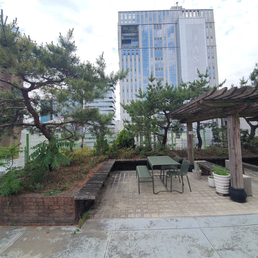 벌목 (위험목, 나무제거, 가지치기, 전정, 뿌리제거)