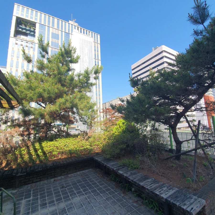 벌목 (위험목, 나무제거, 가지치기, 전정, 뿌리제거)
