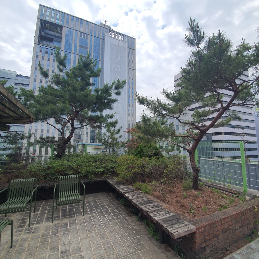 벌목 (위험목, 나무제거, 가지치기, 전정, 뿌리제거)