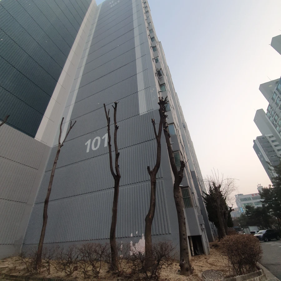 벌목 (위험목, 나무제거, 가지치기, 전정, 뿌리제거)