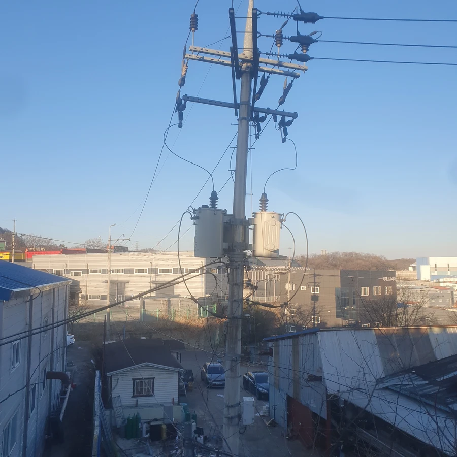 벌목 (위험목, 나무제거, 가지치기, 전정, 뿌리제거)