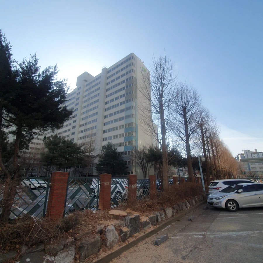 가지치기 작업 - 정원수 전정