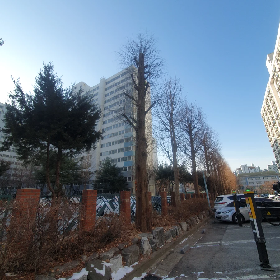 벌목 (위험목, 나무제거, 가지치기, 전정, 뿌리제거)