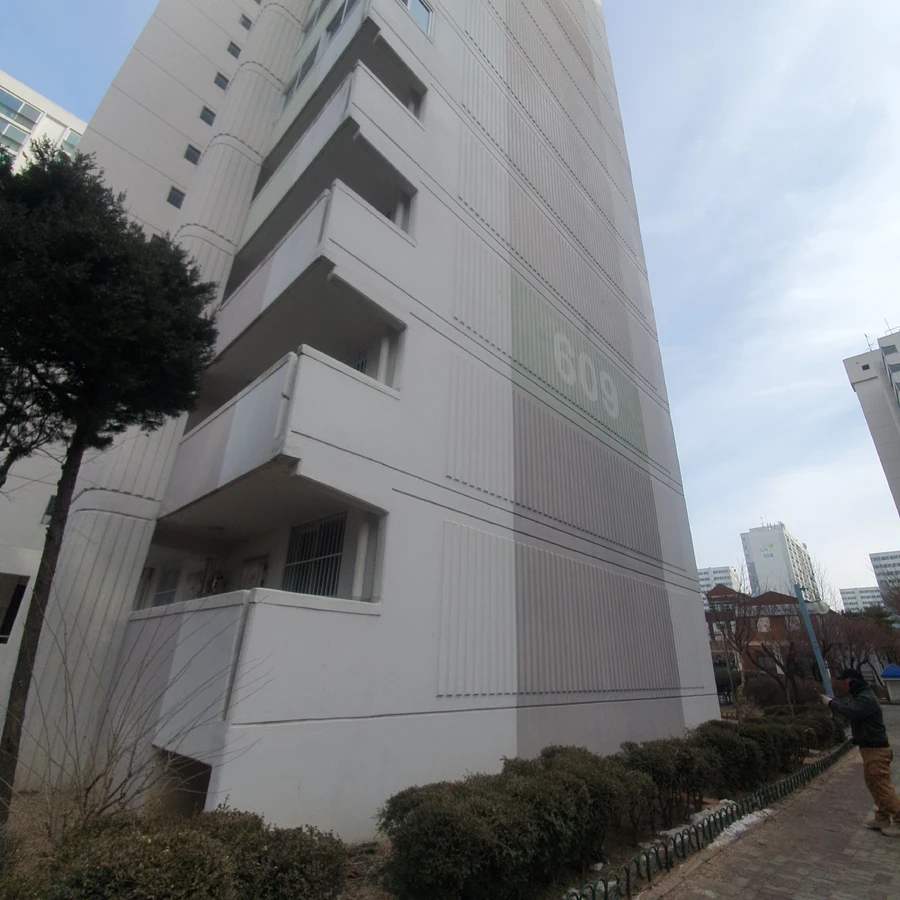 벌목 (위험목, 나무제거, 가지치기, 전정, 뿌리제거)