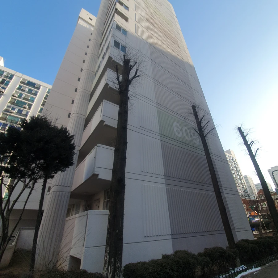 벌목 (위험목, 나무제거, 가지치기, 전정, 뿌리제거)