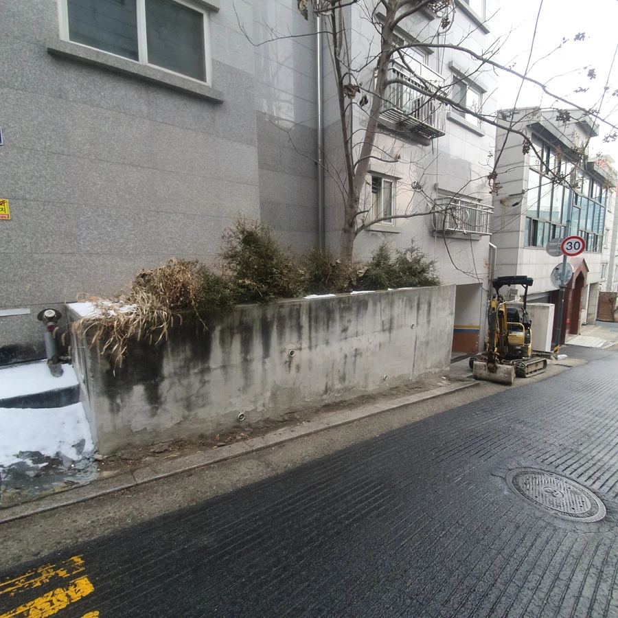 고사목제거 작업 - 잔가지 정리