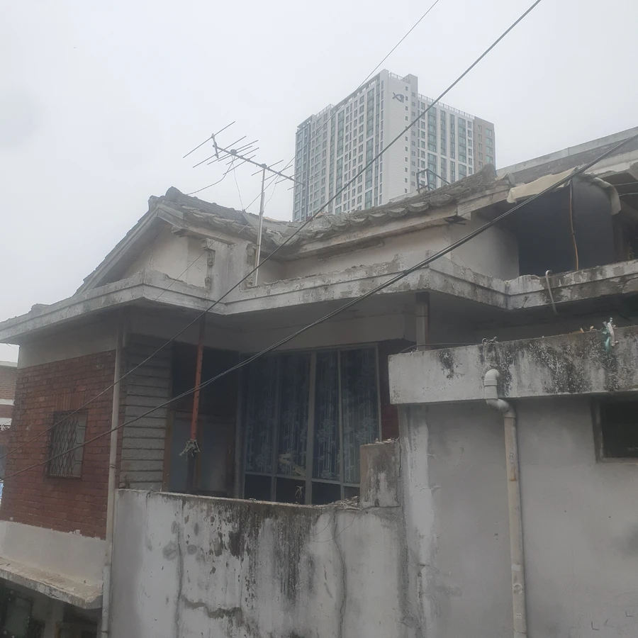 벌목 (위험목, 나무제거, 가지치기, 전정, 뿌리제거)