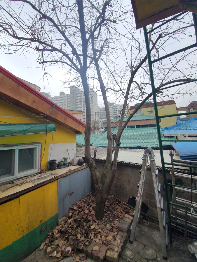 용인 뿌리제거 시공 작업현장