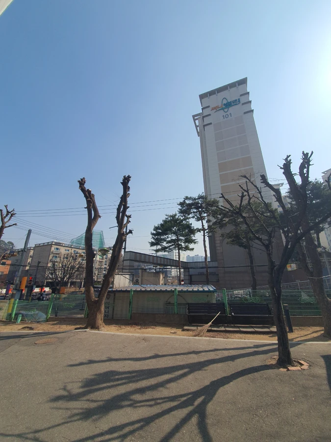 용인 나무 벌목 현장 작업현장