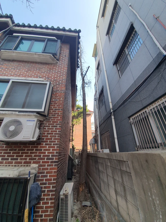 수원 뿌리제거 작업 작업현장