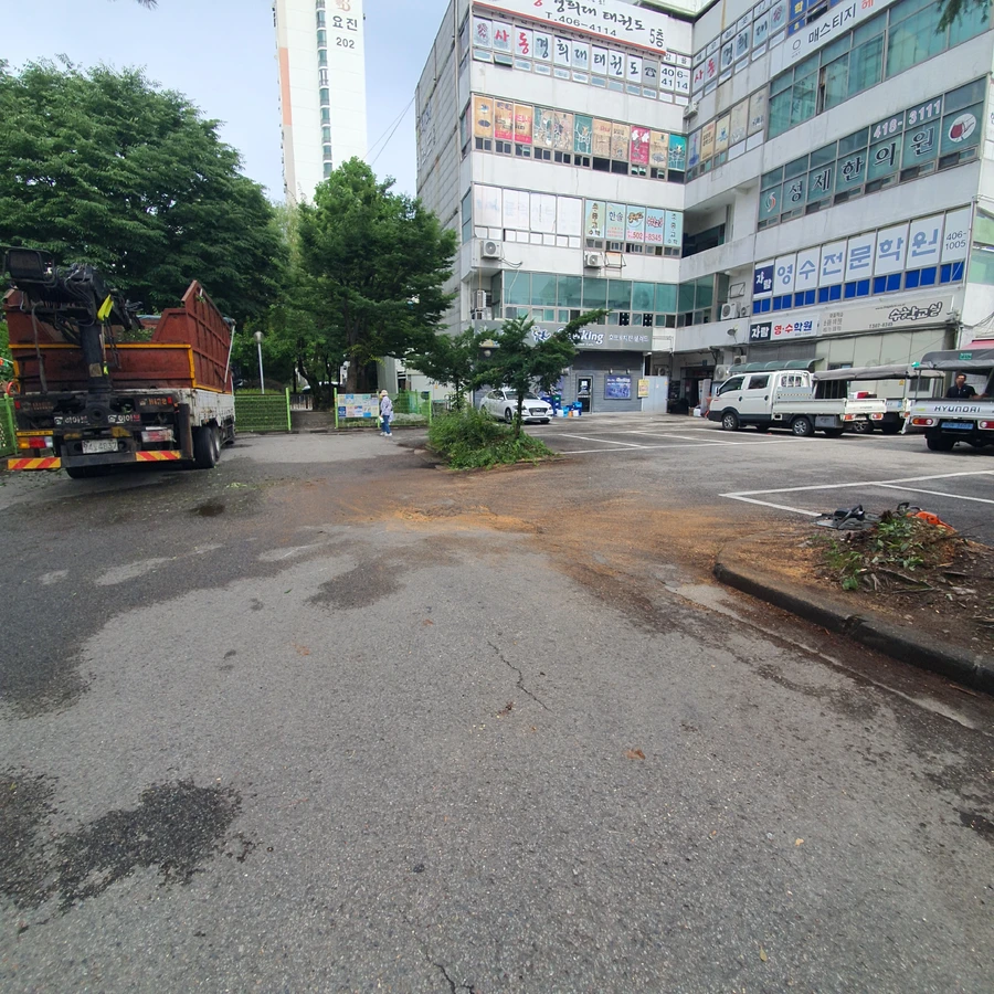 위험목 제거 현장