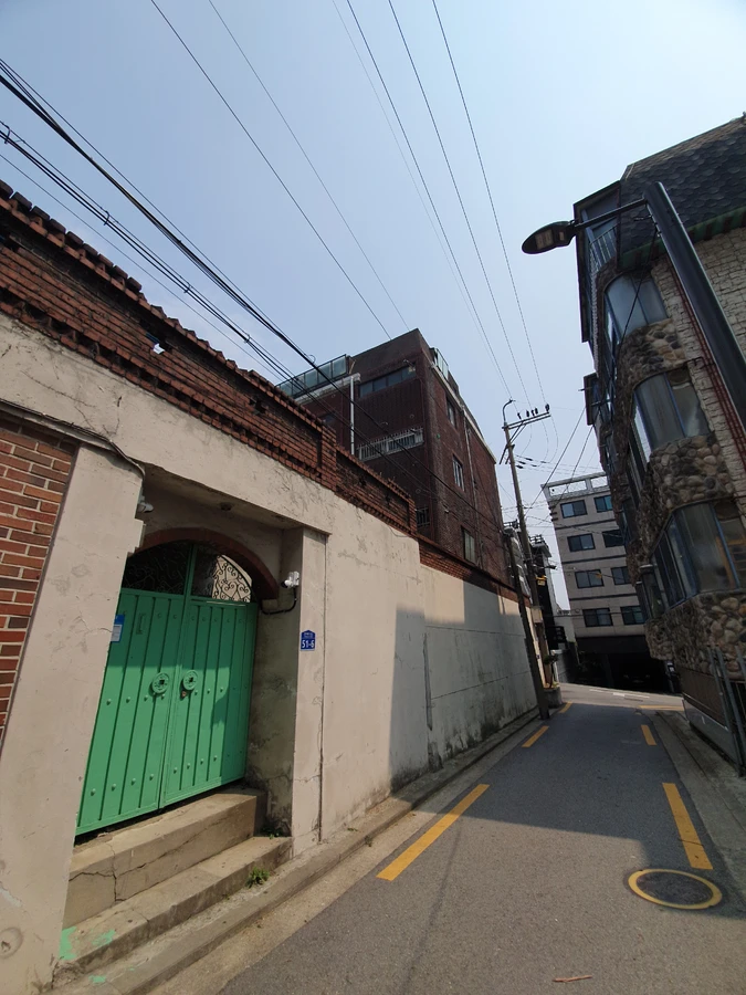 위험나무 안전 작업