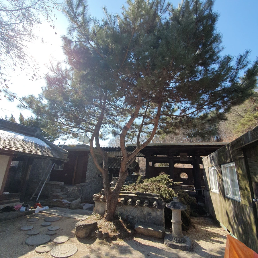 조경 (나무식재, 나무이식, 화단정리, 화단조성)