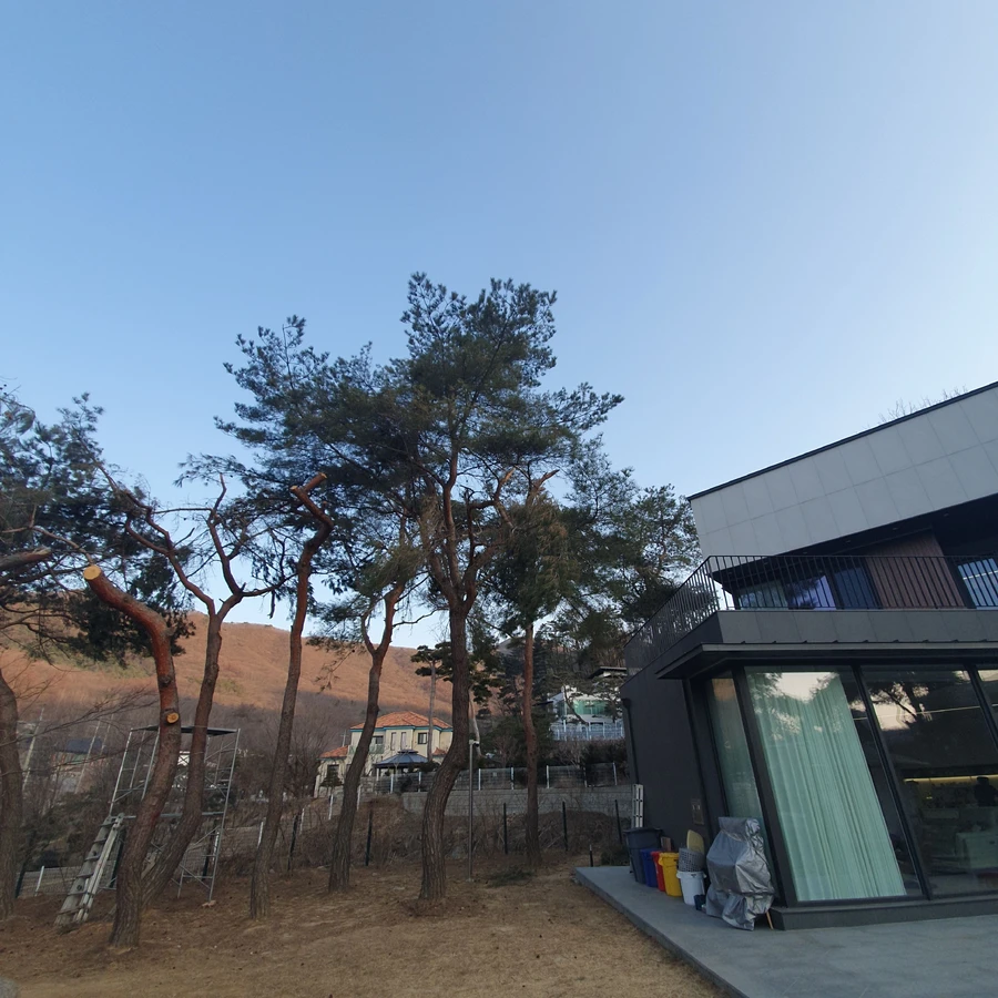 조경 (나무식재, 나무이식, 화단정리, 화단조성)