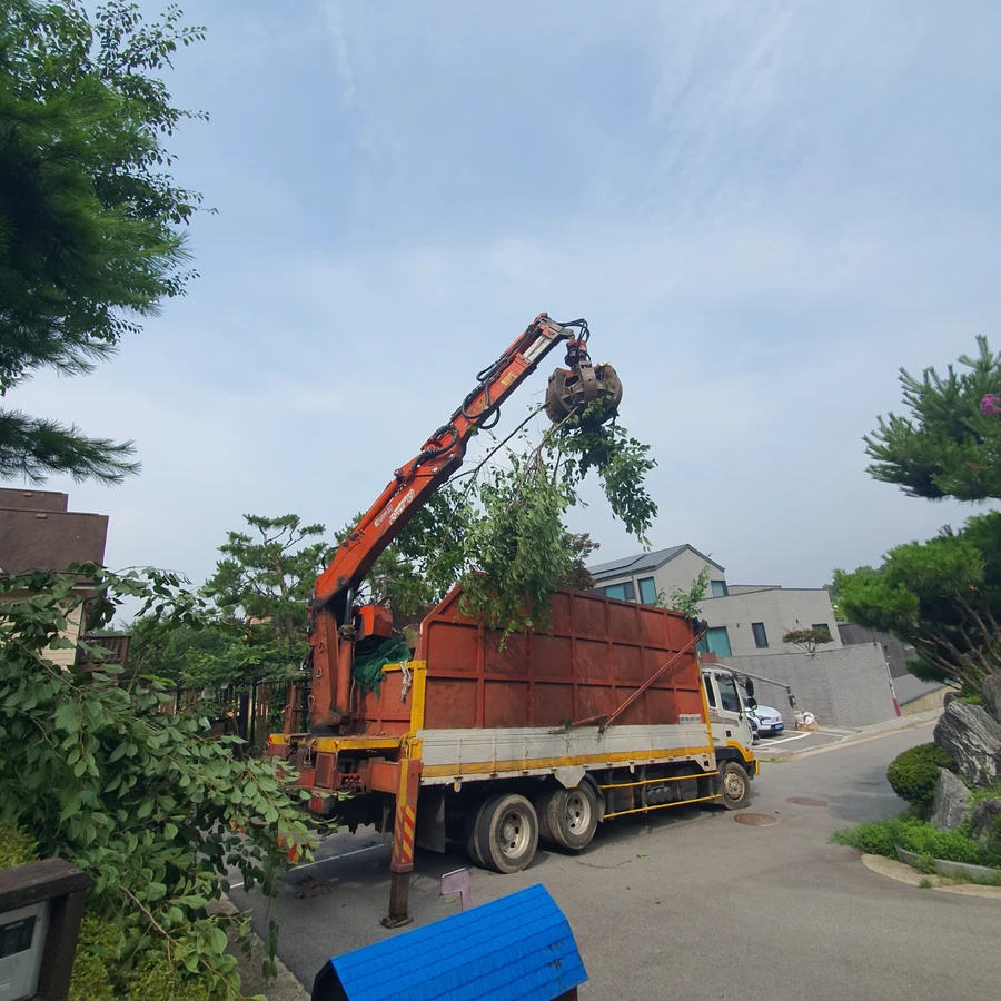 벌목 (위험목, 나무제거, 가지치기, 전정, 뿌리제거)