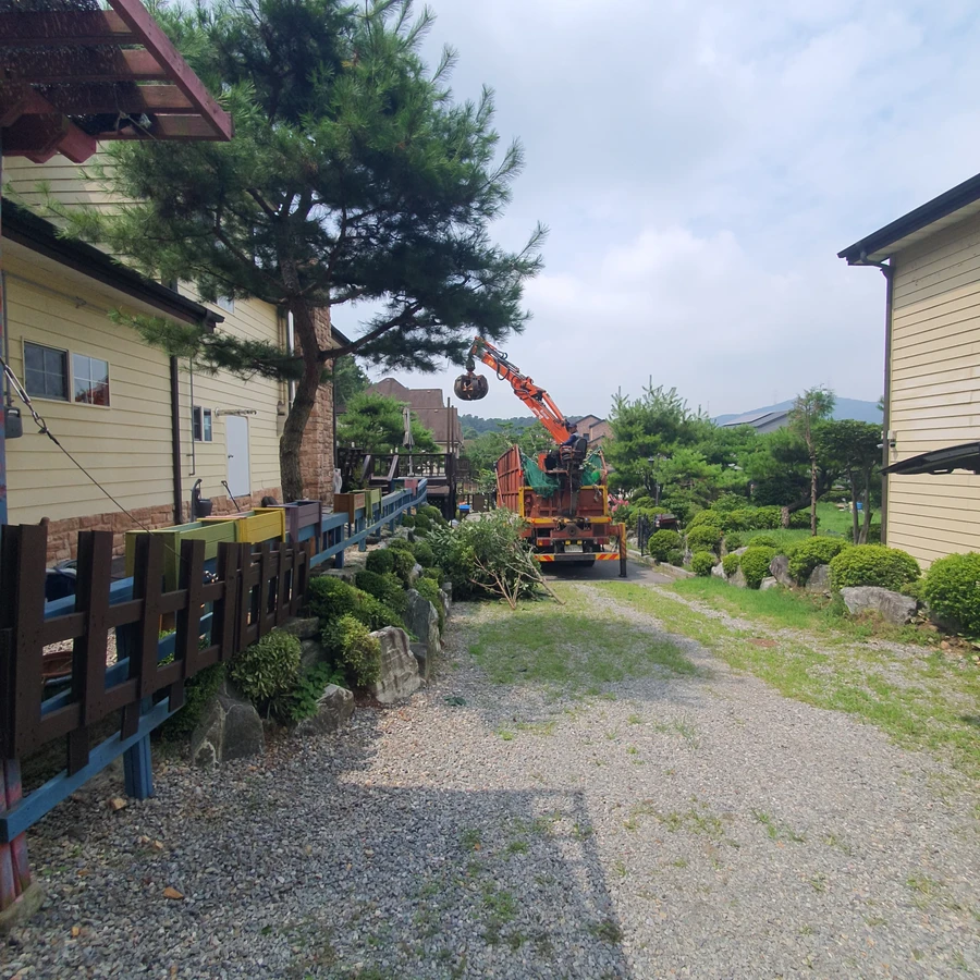 벌목 (위험목, 나무제거, 가지치기, 전정, 뿌리제거)