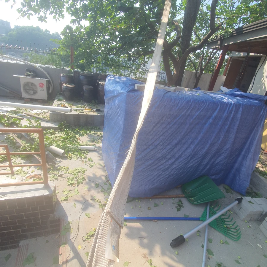 벌목 (위험목, 나무제거, 가지치기, 전정, 뿌리제거)