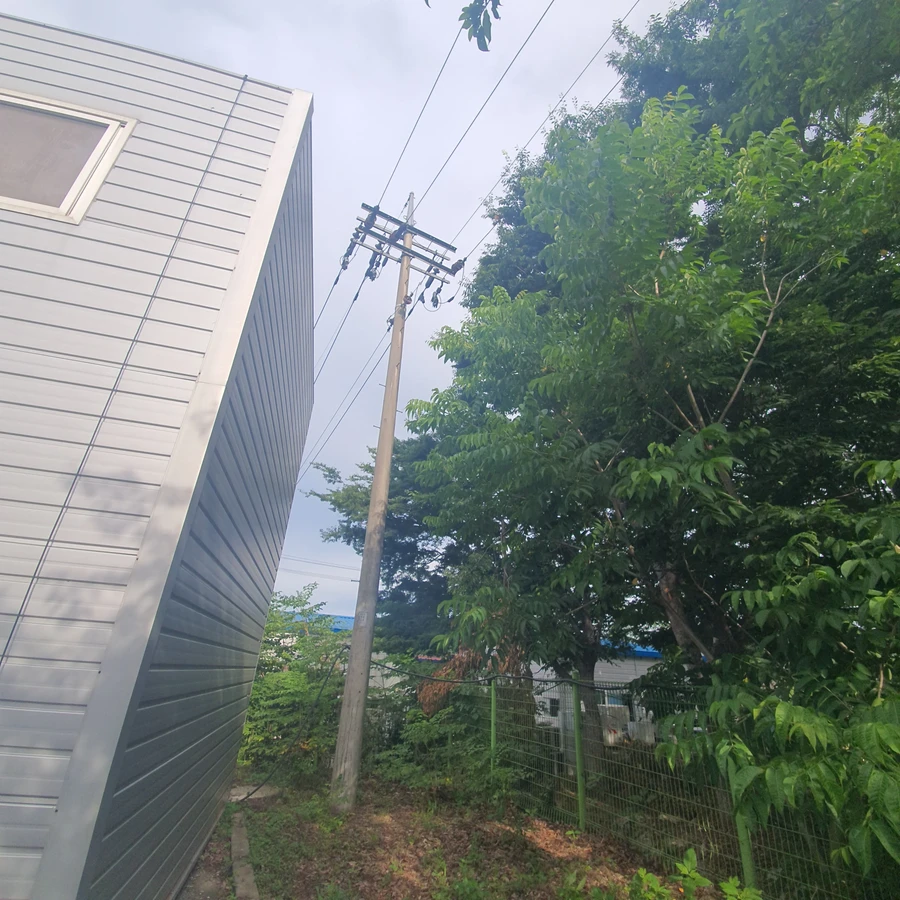 벌목 (위험목, 나무제거, 가지치기, 전정, 뿌리제거)