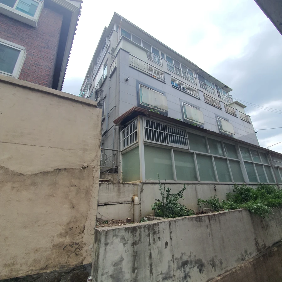 벌목 (위험목, 나무제거, 가지치기, 전정, 뿌리제거)