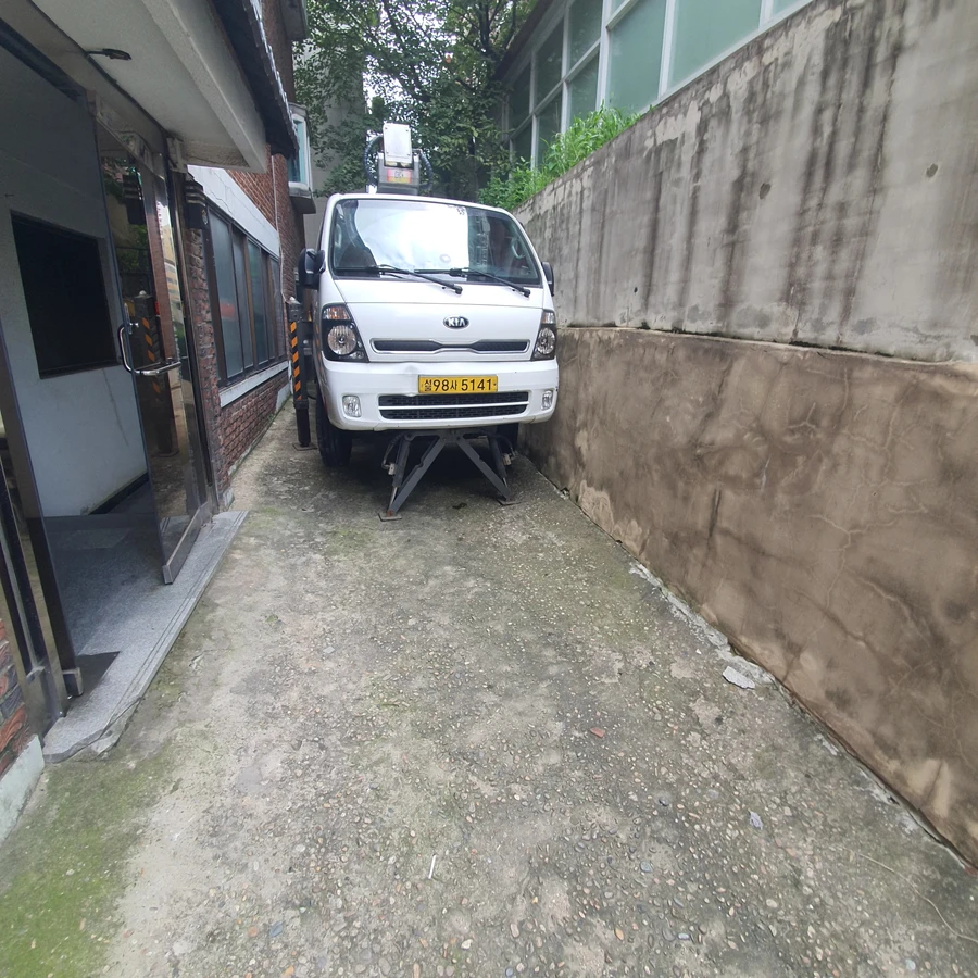 벌목 (위험목, 나무제거, 가지치기, 전정, 뿌리제거)