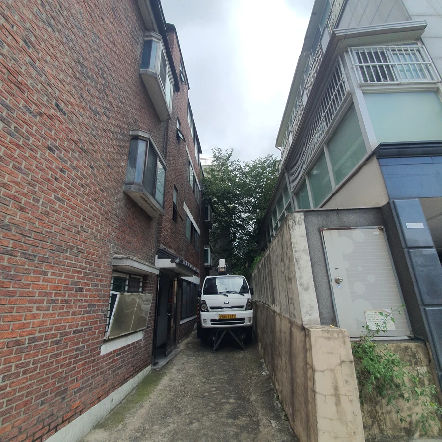 벌목 (위험목, 나무제거, 가지치기, 전정, 뿌리제거)