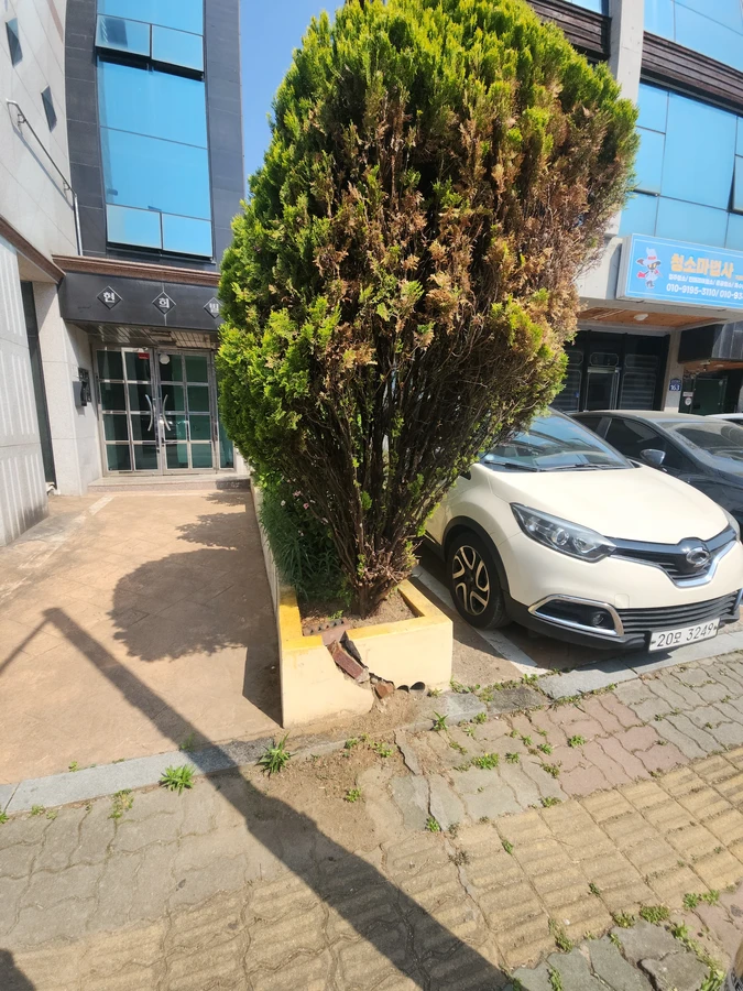 담장보수