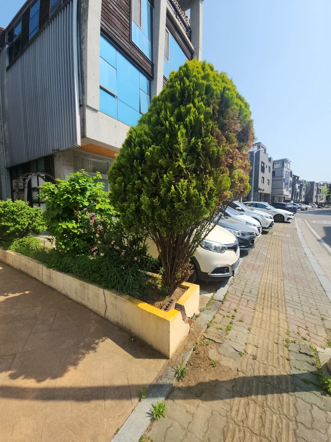 담장보수