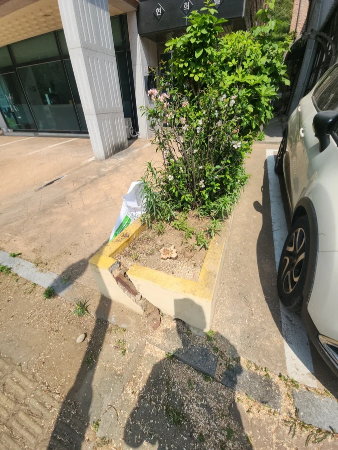 담장보수