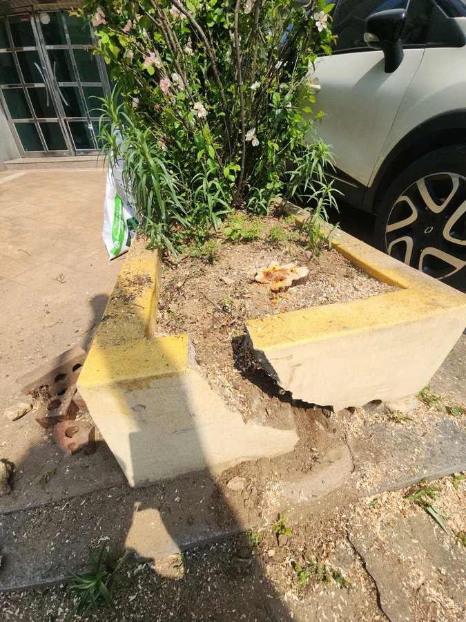 담장보수
