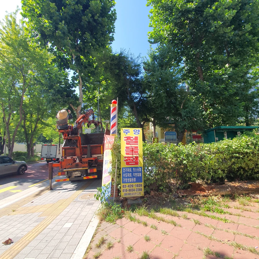 벌목 (위험목, 나무제거, 가지치기, 전정, 뿌리제거)