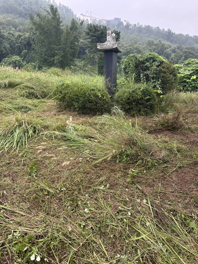 벌목,벌초