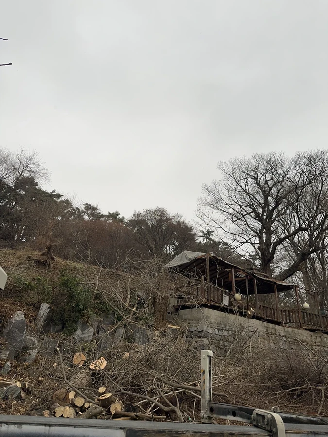 벌목,벌초