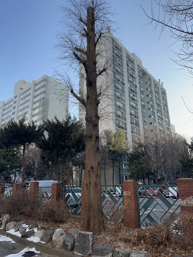 벌목,벌초