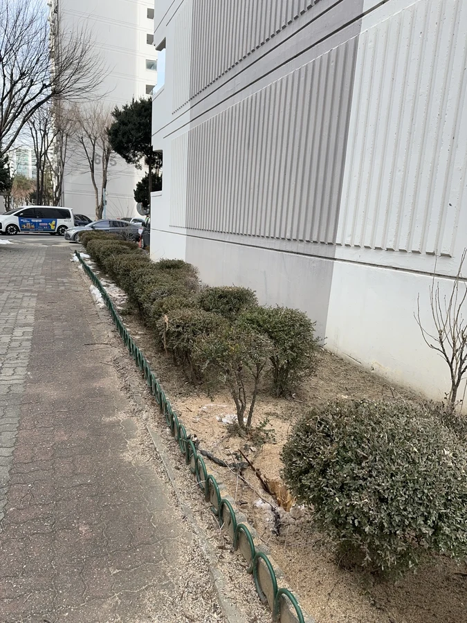 벌목,벌초