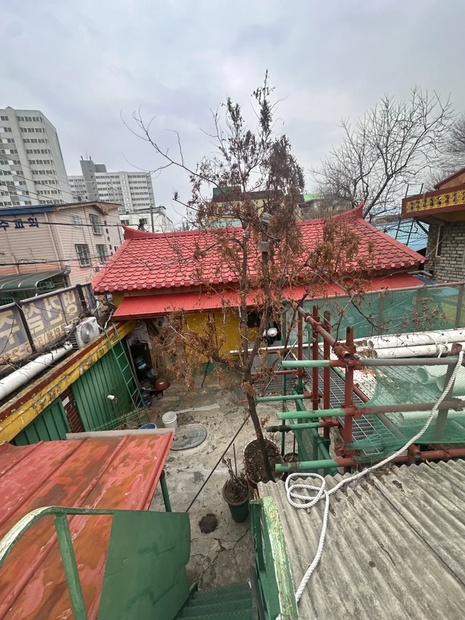 벌목,벌초
