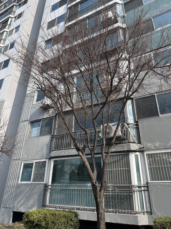 벌목,벌초