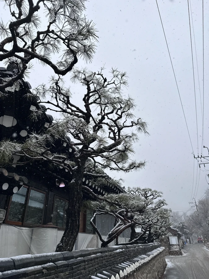 벌목,벌초