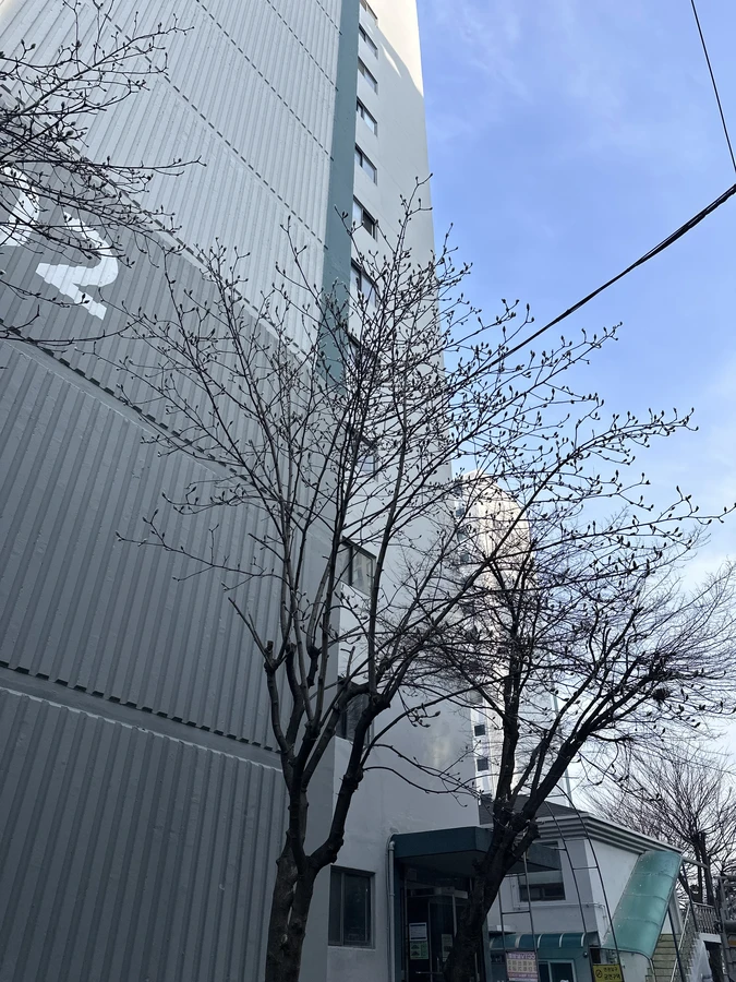 벌목,벌초