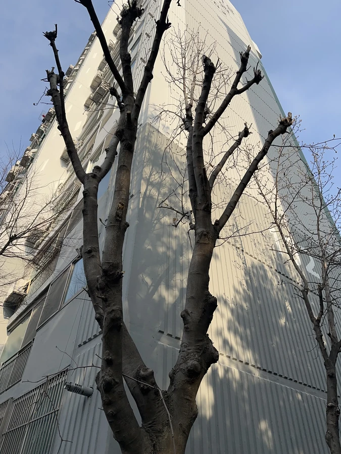 벌목,벌초